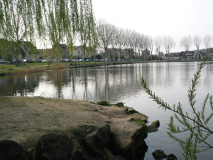 Vélizy Etang1